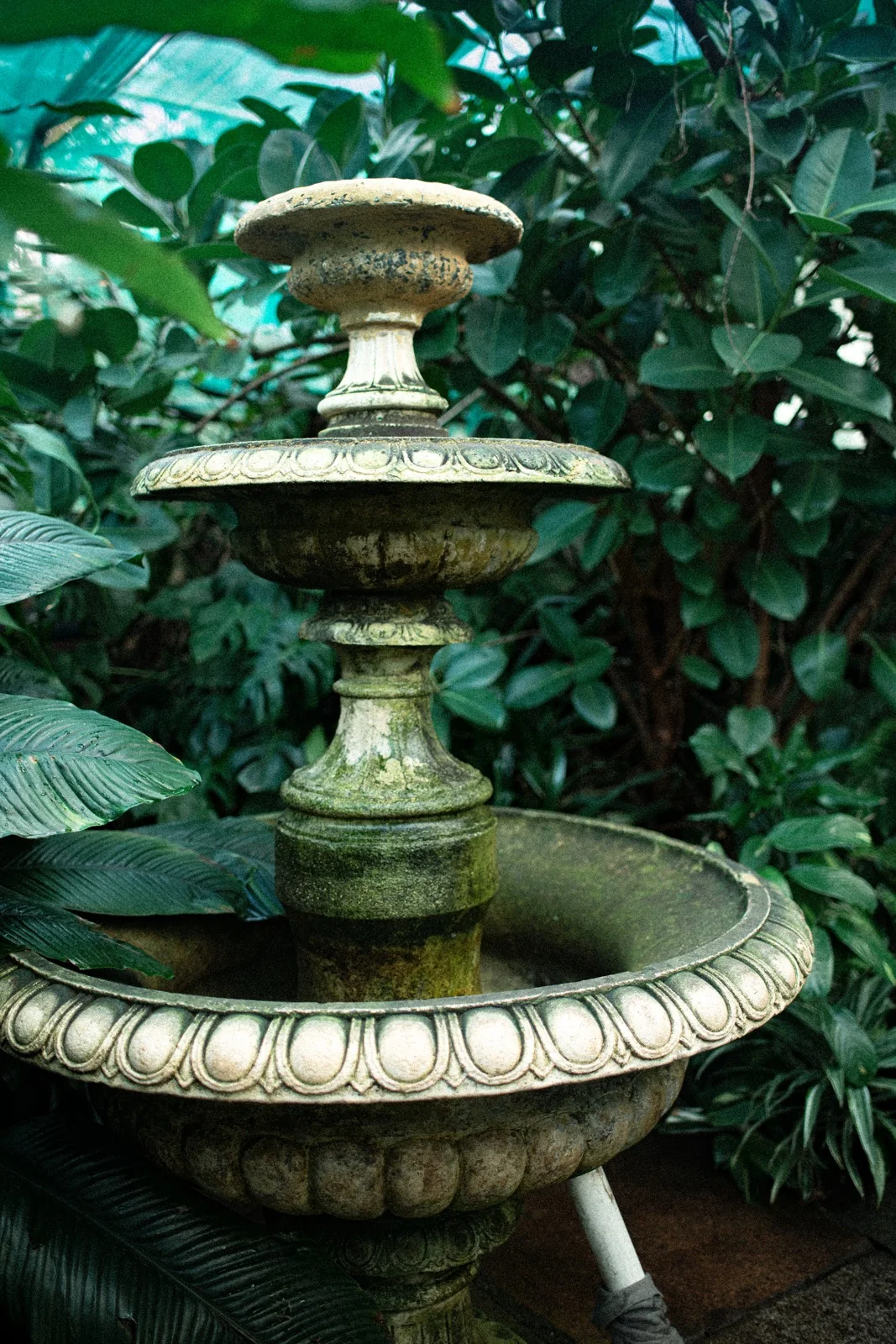 The hidden garden fountain