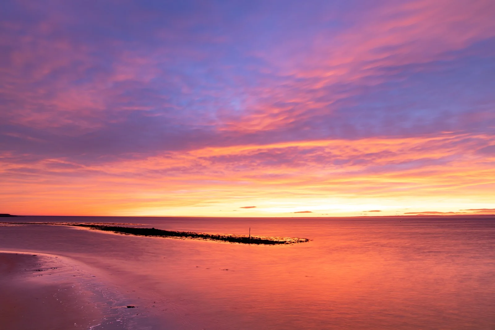 Rose light on the shore