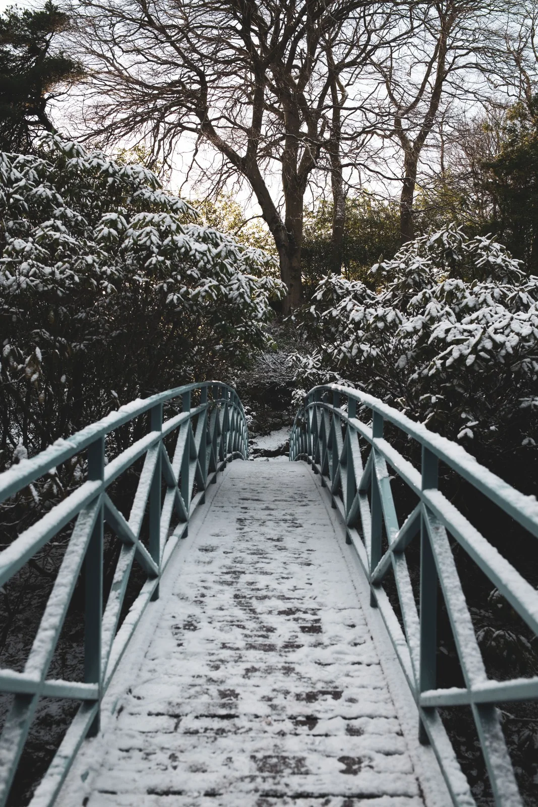 The bridge in winter